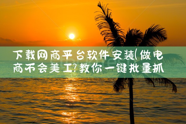 下载网商平台软件安装|小蓝视频