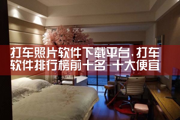 打车照片软件下载平台|抖阴