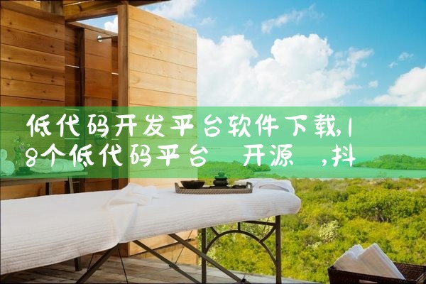 低代码开发平台软件下载|抖阴